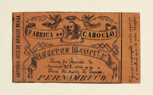 vizualizar o documento on line